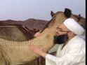 Cübbeli Ahmet Hoca'nın umre fotoğrafları