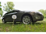 Ford and dandelions