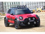 MINI Cooper Red Mudder by DSQUARED² for Life Ball 2011, 23.5.2011