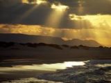 The Alien Beauty of Socotra