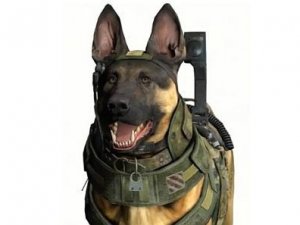 Call Of Duty: Ghosts'a Ses İle Kontrol Desteği
