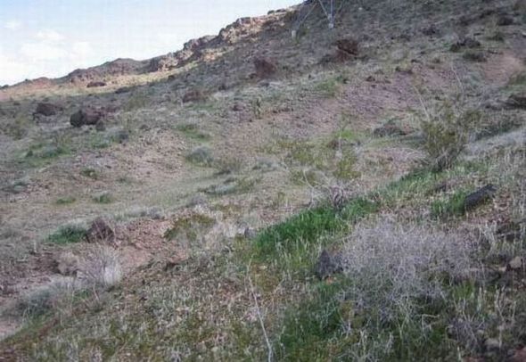 Fotoğraflardaki sırlar 2