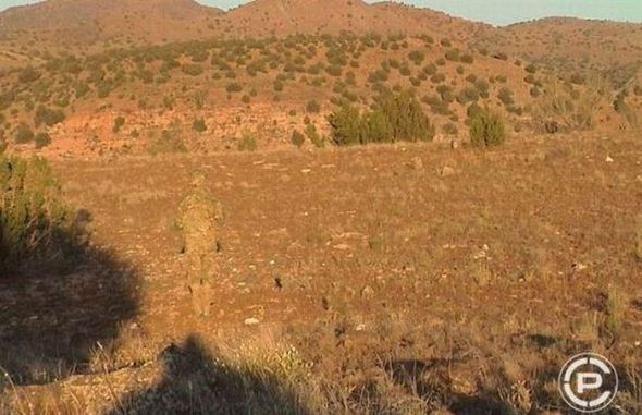 Fotoğraflardaki sırlar 7
