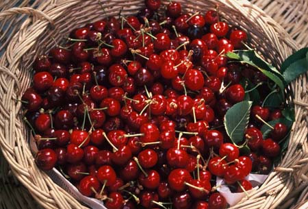 Yemeniz gereken en sağlıklı gıdalar 4
