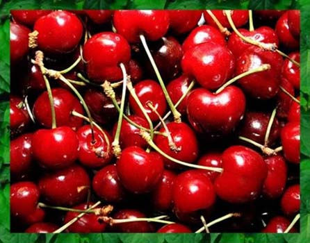 Yemeniz gereken en sağlıklı gıdalar 5