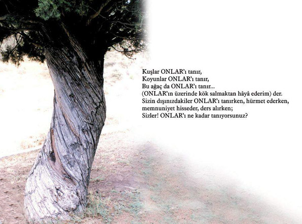 Kendi cenaze namazını kılan şehitler 10
