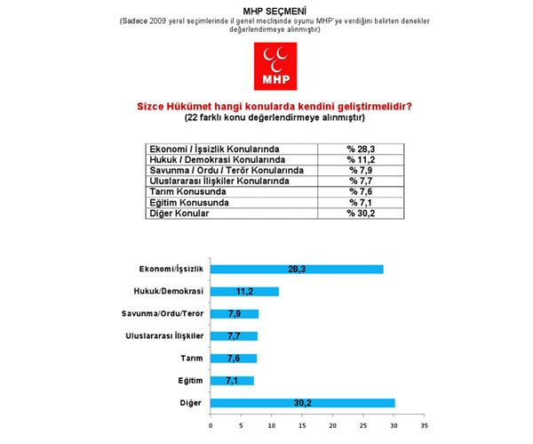 Son referandum anketi... 15