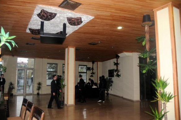 Bu da Laz işi restoran! 5