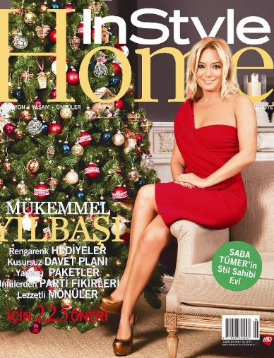Bunlarda bizim ünlülerin evleri 24