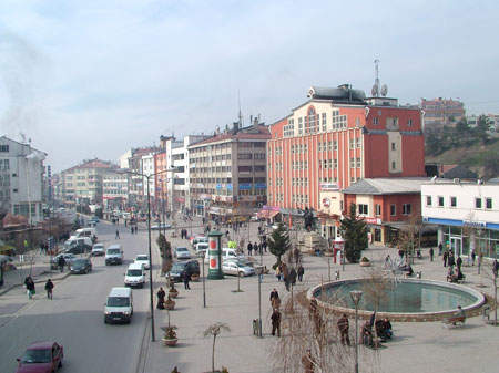 Çanakkale Savaşında en fazla şehit veren illerimiz 22