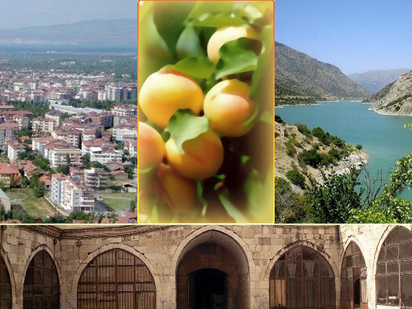 Çanakkale Savaşında en fazla şehit veren illerimiz 52