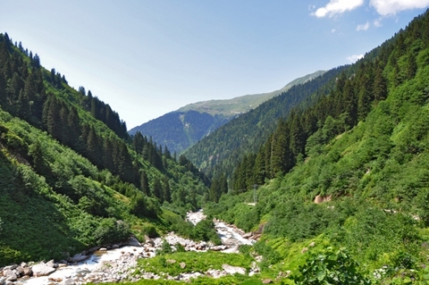 Rüyadan gerçeğe, gerçekten Karadeniz'e 13