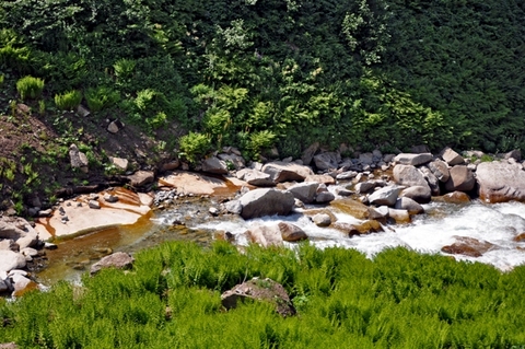 Rüyadan gerçeğe, gerçekten Karadeniz'e 14