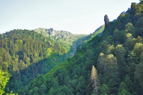 Rüyadan gerçeğe, gerçekten Karadeniz'e 19