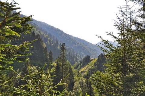 Rüyadan gerçeğe, gerçekten Karadeniz'e 20