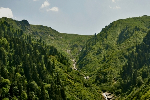 Rüyadan gerçeğe, gerçekten Karadeniz'e 6