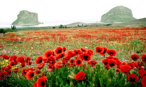 Bu fotoğrafların nerede çekildiğine inanamayacaksınız! 19