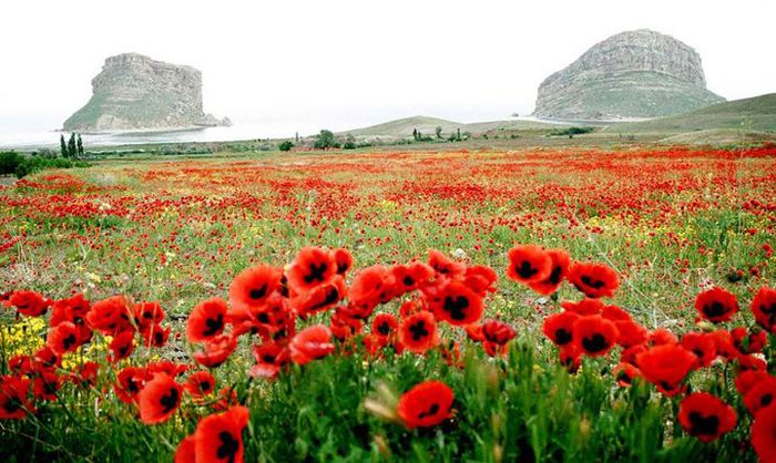 Bu fotoğrafların nerede çekildiğine inanamayacaksınız! 4