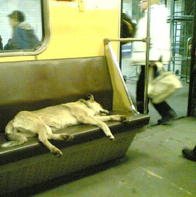 Dünya metrolarından komik kareler 4