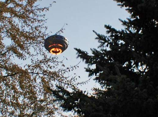 Dünya bu görüntüleri tartışıyor 42