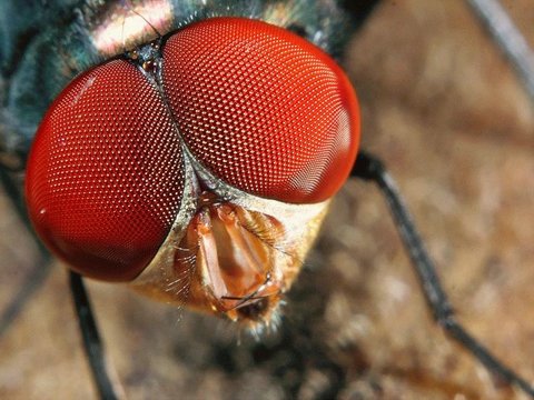 12 yaşından önce yapılacaklar listesi 14