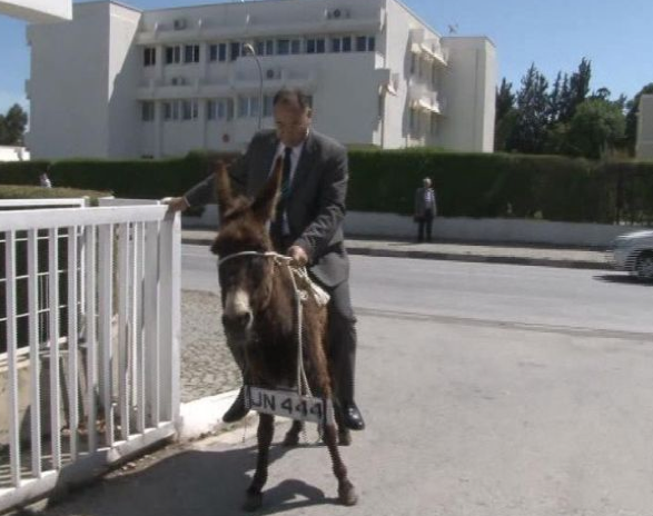 Meclis'e eşekle geldiler! 1