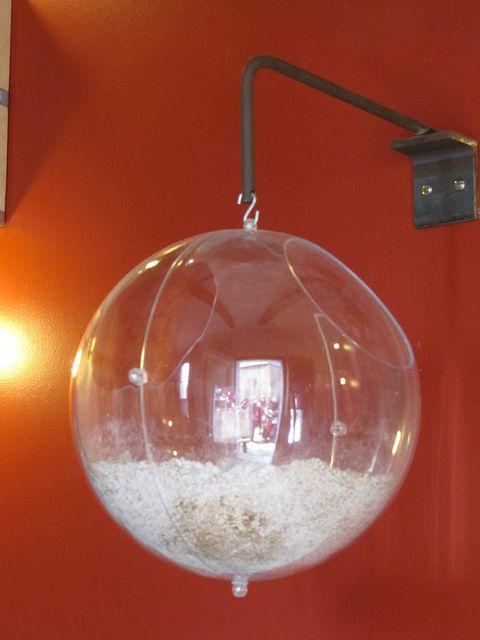 99 Euro'ya hamster olabilirsiniz 15