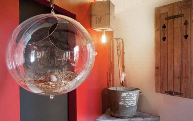 99 Euro'ya hamster olabilirsiniz 2