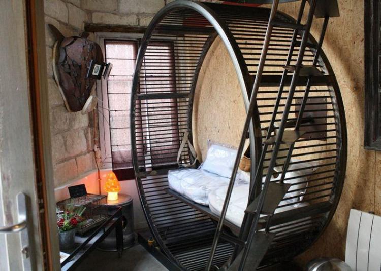 99 Euro'ya hamster olabilirsiniz 3