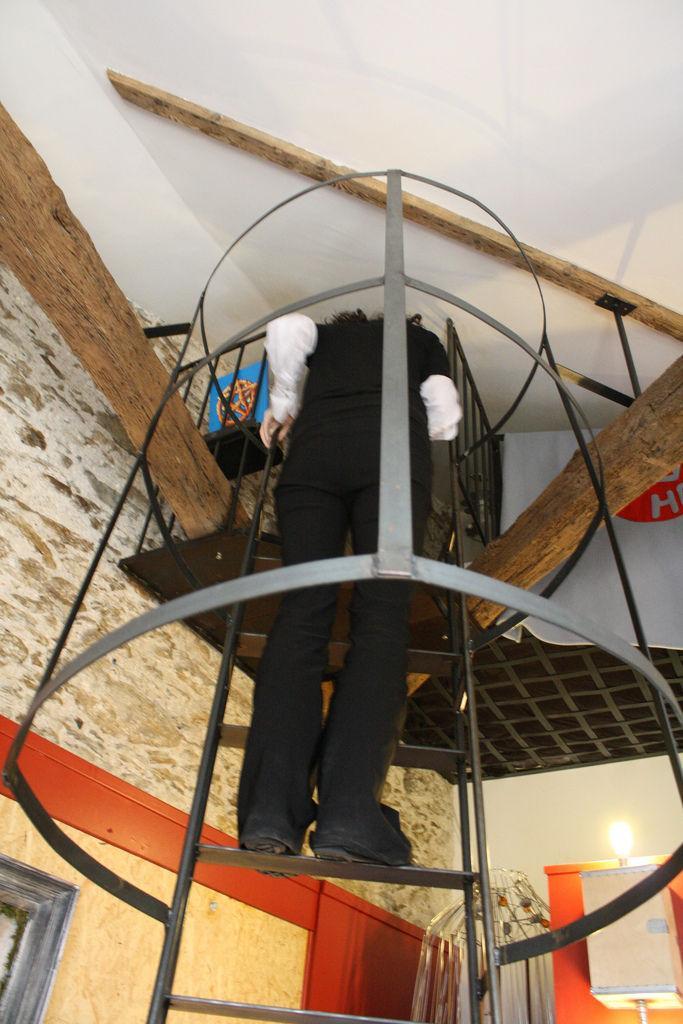 99 Euro'ya hamster olabilirsiniz 9