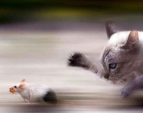 Tam o anda çekilen fotoğraflar 1