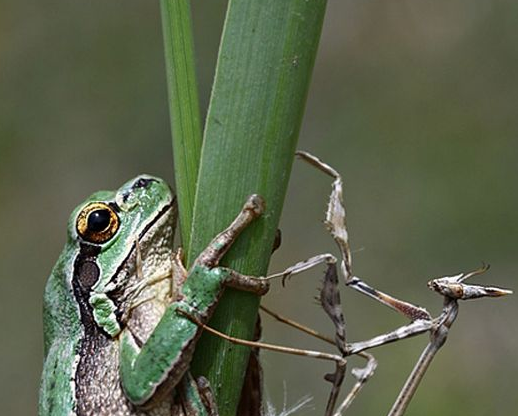 Tam o anda çekilen fotoğraflar 15