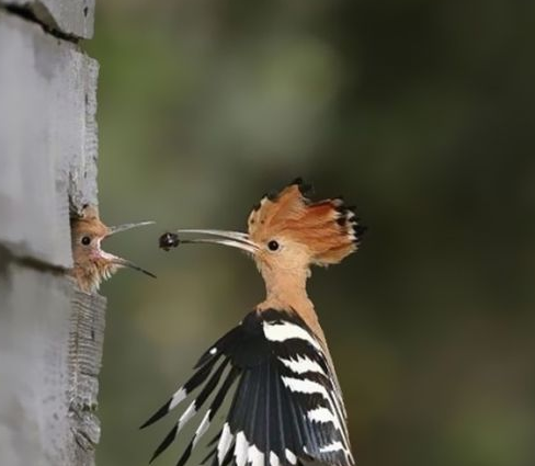 Tam o anda çekilen fotoğraflar 28