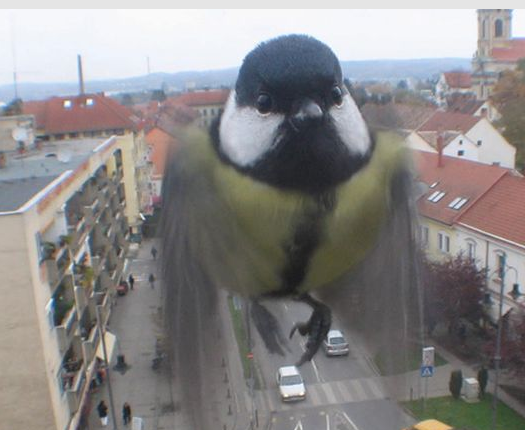 Tam o anda çekilen fotoğraflar 32