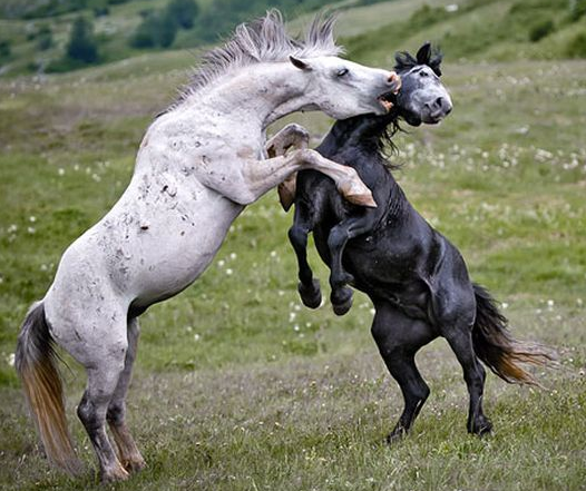 Tam o anda çekilen fotoğraflar 34