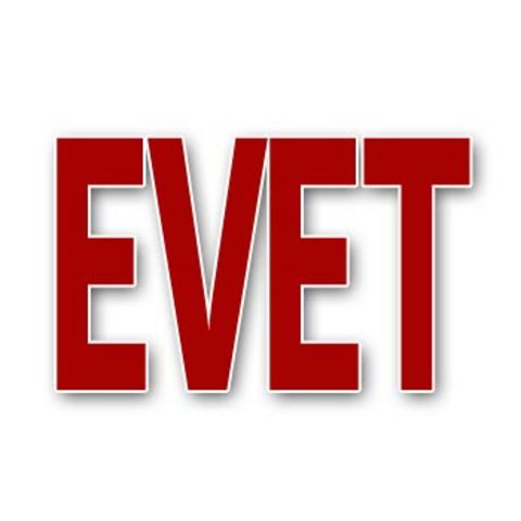 Anayasa oylamasında evet ve hayır oyu verecek olan cemaatler 1