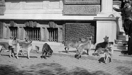 National Geographic arşivlerinden çıkan benzersiz Türkiye fotoları 30