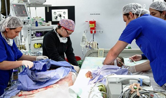 Kaplumbağa çocuk görenleri şok etti 3