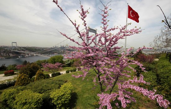 İstanbul Boğazı'nda Erguvanlı günler 11
