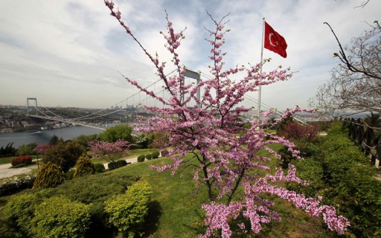 İstanbul Boğazı'nda Erguvanlı günler 3