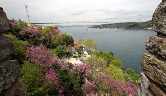 İstanbul Boğazı'nda Erguvanlı günler 5