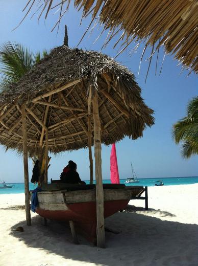 Dünya harikası 'Zanzibar' 27