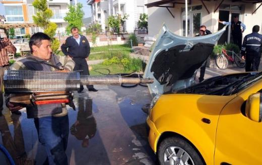 Otomobil motoruna yılan kaçınca... 2