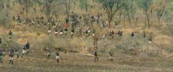 Afrika'da vahşi hayvan katliamı 15