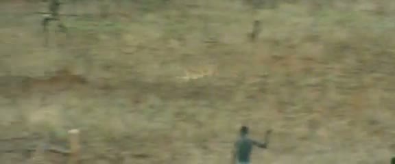 Afrika'da vahşi hayvan katliamı 18