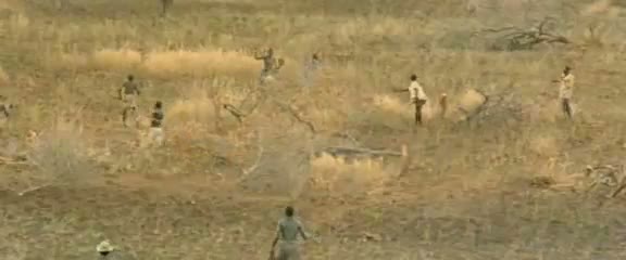 Afrika'da vahşi hayvan katliamı 24