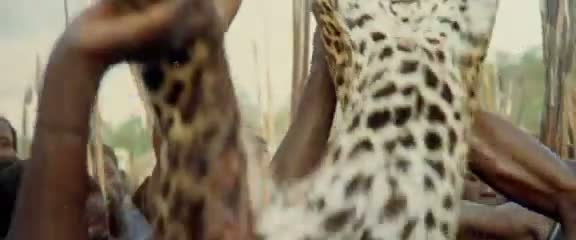 Afrika'da vahşi hayvan katliamı 27