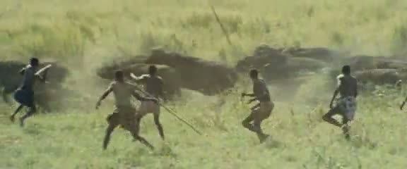 Afrika'da vahşi hayvan katliamı 30