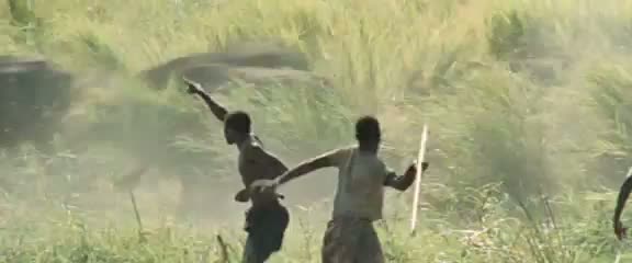 Afrika'da vahşi hayvan katliamı 4
