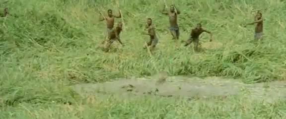 Afrika'da vahşi hayvan katliamı 57